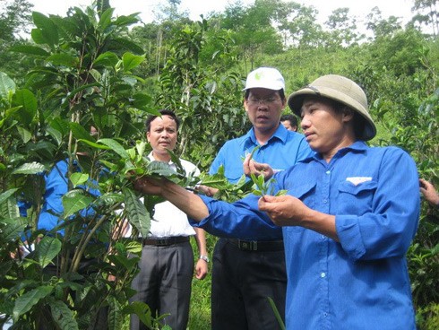 Tọa đàm về Đề án thí điểm tuyển chọn 500 trí thức trẻ tình nguyện  - ảnh 1